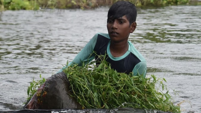 %E0%A4%AF%E0%A5%82%E0%A4%AA%E0%A5%80%3A+%E0%A4%95%E0%A4%BE%E0%A4%A8%E0%A4%AA%E0%A5%81%E0%A4%B0+%E0%A4%B8%E0%A5%87+%E0%A4%9C%E0%A5%81%E0%A4%A1%E0%A4%BC%E0%A5%87+%E0%A4%87%E0%A4%A8+%E0%A4%9C%E0%A4%BF%E0%A4%B2%E0%A5%8B%E0%A4%82+%E0%A4%AE%E0%A5%87%E0%A4%82+%E0%A4%A4%E0%A5%80%E0%A4%B8%E0%A4%B0%E0%A5%80+%E0%A4%AC%E0%A4%BE%E0%A4%B0+%E0%A4%AC%E0%A4%BE%E0%A4%A2%E0%A4%BC+%E0%A4%A6%E0%A4%B0%E0%A5%8D%E0%A4%9C%E0%A4%A8%E0%A5%8B%E0%A4%82+%E0%A4%97%E0%A4%BE%E0%A4%81%E0%A4%B5+%E0%A4%9C%E0%A4%B2%E0%A4%AE%E0%A4%97%E0%A5%8D%E0%A4%A8%2C+%E0%A4%96%E0%A4%BE%E0%A4%A6%E0%A5%8D%E0%A4%AF%E0%A4%BE%E0%A4%A8%E0%A5%8D%E0%A4%A8+%E0%A4%B8%E0%A4%82%E0%A4%95%E0%A4%9F%3B+%E0%A4%85%E0%A4%97%E0%A4%B2%E0%A5%87+48+%E0%A4%98%E0%A4%82%E0%A4%9F%E0%A5%8B%E0%A4%82+%E0%A4%95%E0%A5%87+%E0%A4%B2%E0%A4%BF%E0%A4%8F+%E0%A4%85%E0%A4%B2%E0%A4%B0%E0%A5%8D%E0%A4%9F%E2%80%A6