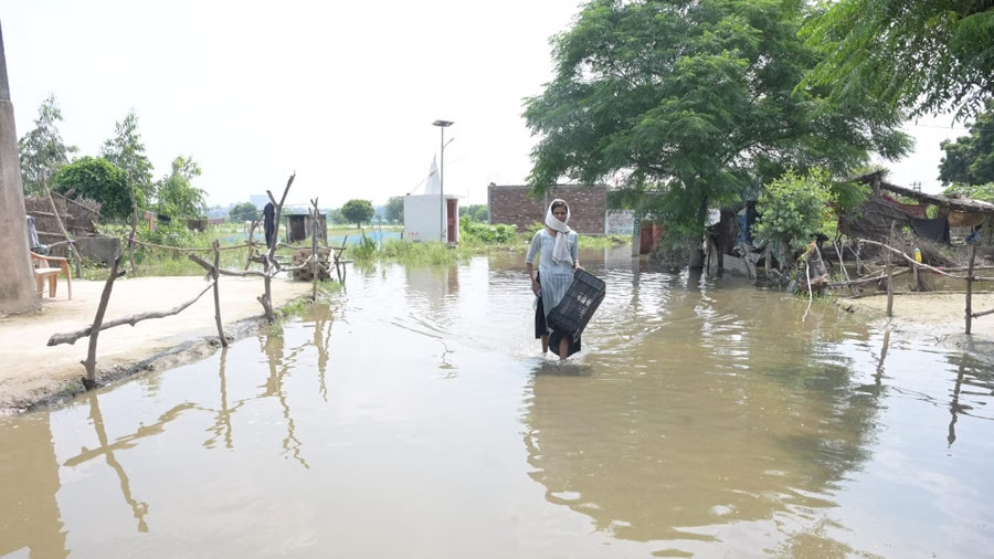 %E0%A4%AF%E0%A5%82%E0%A4%AA%E0%A5%80%3A+%E0%A4%95%E0%A4%BE%E0%A4%A8%E0%A4%AA%E0%A5%81%E0%A4%B0+%E0%A4%B8%E0%A5%87+%E0%A4%9C%E0%A5%81%E0%A4%A1%E0%A4%BC%E0%A5%87+%E0%A4%87%E0%A4%A8+%E0%A4%9C%E0%A4%BF%E0%A4%B2%E0%A5%8B%E0%A4%82+%E0%A4%AE%E0%A5%87%E0%A4%82+%E0%A4%A4%E0%A5%80%E0%A4%B8%E0%A4%B0%E0%A5%80+%E0%A4%AC%E0%A4%BE%E0%A4%B0+%E0%A4%AC%E0%A4%BE%E0%A4%A2%E0%A4%BC+%E0%A4%A6%E0%A4%B0%E0%A5%8D%E0%A4%9C%E0%A4%A8%E0%A5%8B%E0%A4%82+%E0%A4%97%E0%A4%BE%E0%A4%81%E0%A4%B5+%E0%A4%9C%E0%A4%B2%E0%A4%AE%E0%A4%97%E0%A5%8D%E0%A4%A8%2C+%E0%A4%96%E0%A4%BE%E0%A4%A6%E0%A5%8D%E0%A4%AF%E0%A4%BE%E0%A4%A8%E0%A5%8D%E0%A4%A8+%E0%A4%B8%E0%A4%82%E0%A4%95%E0%A4%9F%3B+%E0%A4%85%E0%A4%97%E0%A4%B2%E0%A5%87+48+%E0%A4%98%E0%A4%82%E0%A4%9F%E0%A5%8B%E0%A4%82+%E0%A4%95%E0%A5%87+%E0%A4%B2%E0%A4%BF%E0%A4%8F+%E0%A4%85%E0%A4%B2%E0%A4%B0%E0%A5%8D%E0%A4%9F%E2%80%A6