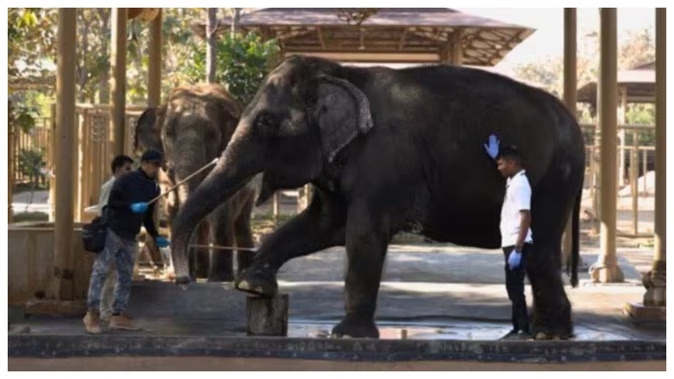 %E0%A4%AC%E0%A4%BF%E0%A4%9C%E0%A4%BC%E0%A4%A8%E0%A5%87%E0%A4%B8+%E0%A4%B0%E0%A4%BE%E0%A4%89%E0%A4%82%E0%A4%A1%E0%A4%85%E0%A4%AA%3A+%E0%A4%A5%E0%A5%8B%E0%A4%95+%E0%A4%AE%E0%A4%B9%E0%A4%82%E0%A4%97%E0%A4%BE%E0%A4%88+%E0%A4%AC%E0%A4%A2%E0%A4%BC%E0%A5%80%3B+%E0%A4%AC%E0%A4%BE%E0%A4%9C%E0%A4%BC%E0%A4%BE%E0%A4%B0+%E0%A4%A8%E0%A4%B0%E0%A4%AE%2C+%E0%A4%86%E0%A4%AF%E0%A4%95%E0%A4%B0+%E0%A4%B0%E0%A4%BF%E0%A4%9F%E0%A4%B0%E0%A5%8D%E0%A4%A8+%E0%A4%95%E0%A5%87+%E0%A4%86%E0%A4%96%E0%A4%BF%E0%A4%B0%E0%A5%80+%E0%A4%A6%E0%A4%BF%E0%A4%A8+%E0%A4%B8%E0%A4%AE%E0%A5%87%E0%A4%A4+%E0%A4%95%E0%A4%BE%E0%A4%B0%E0%A5%8B%E0%A4%AC%E0%A4%BE%E0%A4%B0%E0%A5%80+%E0%A4%9C%E0%A4%97%E0%A4%A4+%E0%A4%95%E0%A4%BE+%E0%A4%AA%E0%A5%82%E0%A4%B0%E0%A4%BE+%E0%A4%B8%E0%A4%BE%E0%A4%B0%E0%A4%BE%E0%A4%82%E0%A4%B6+%E0%A4%AF%E0%A4%B9%E0%A4%BE%E0%A4%81+%E0%A4%AA%E0%A4%A2%E0%A4%BC%E0%A5%87%E0%A4%82%E2%80%A6